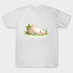 Osito durmiendo T-Shirt